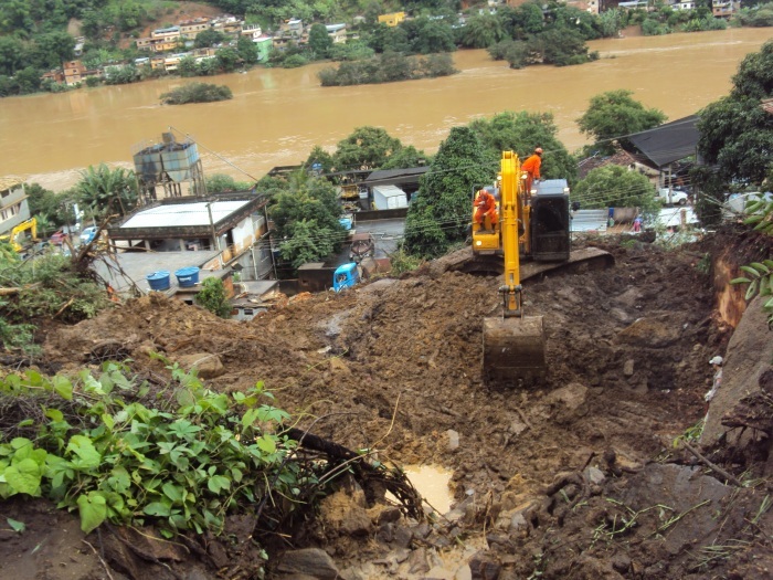 sapucaia